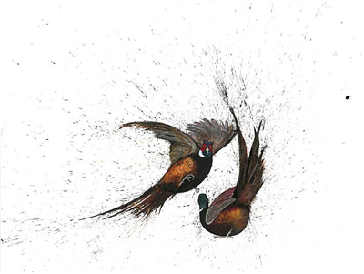Clare Brownlow Greetings Card - Fighting Pheasants